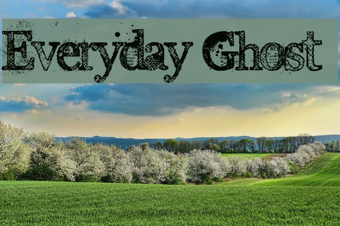 Everyday Ghost Font examples