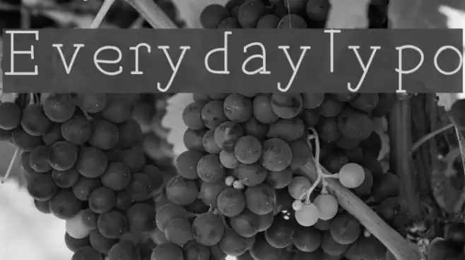 EverydayTypo Font examples