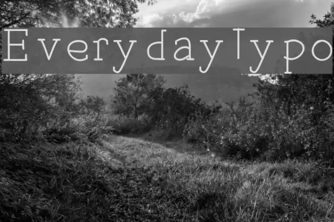 EverydayTypo Font examples