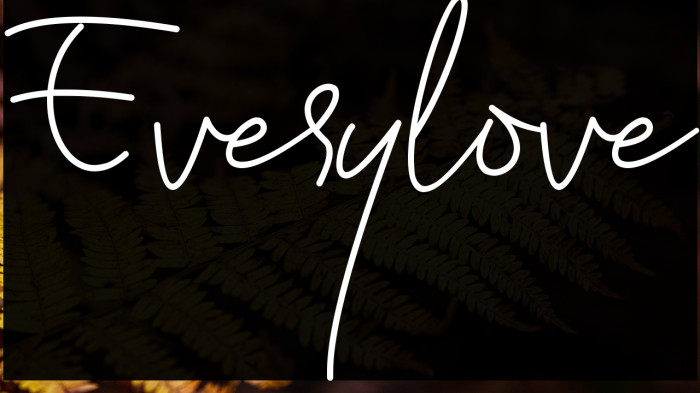 Everylove Example 2