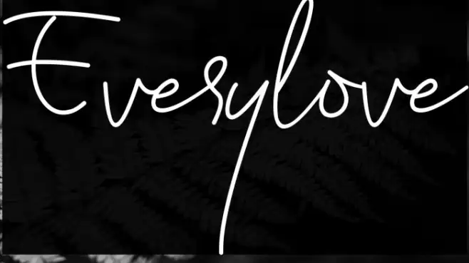 Everylove Example 2