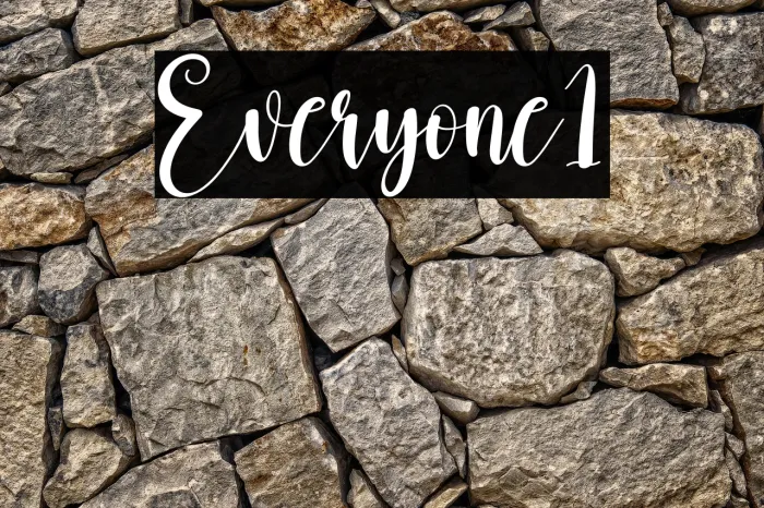 Everyone1 Example 2