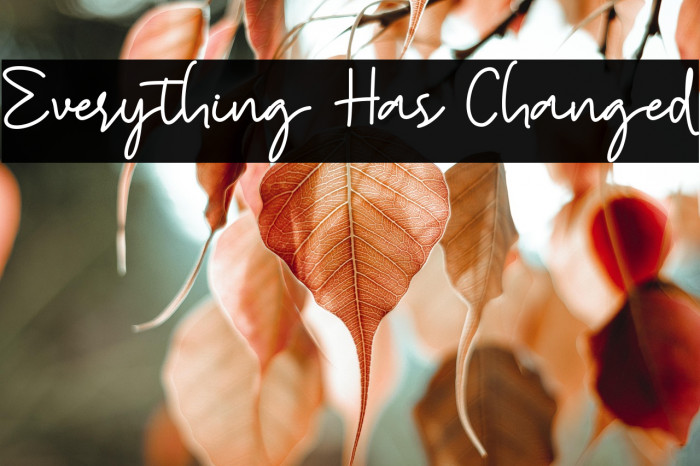 Everything Has Changed Example 1