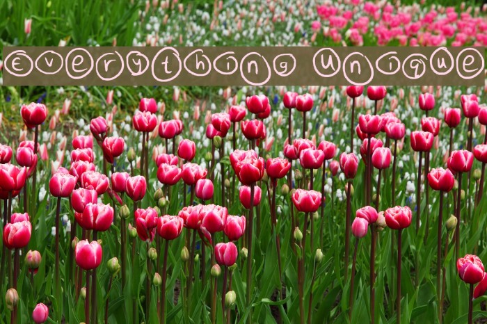 Everything Unique Example 1