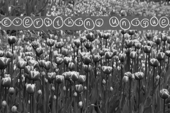 Everything Unique Font examples