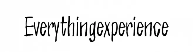 Everything experience  font caratteri gratis