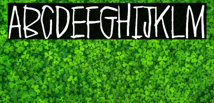 Everything experience Example 1