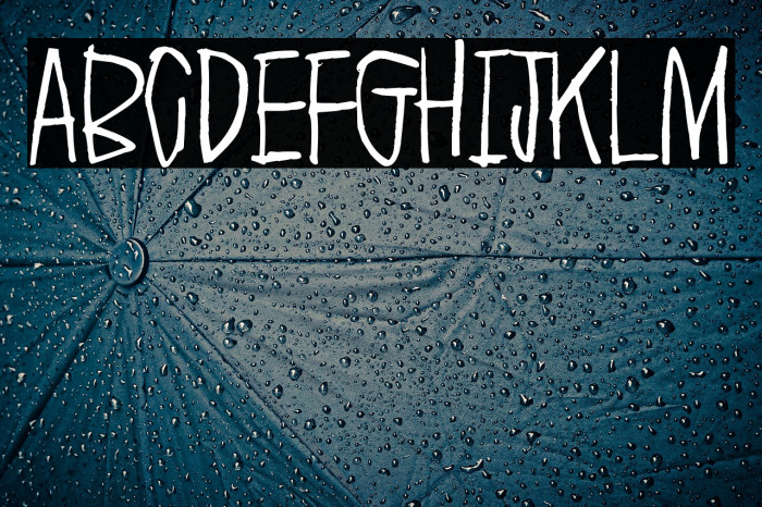 Everything experience Example 3