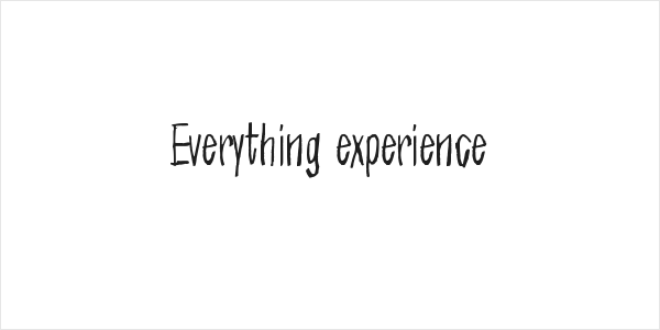 Everything experience Logo