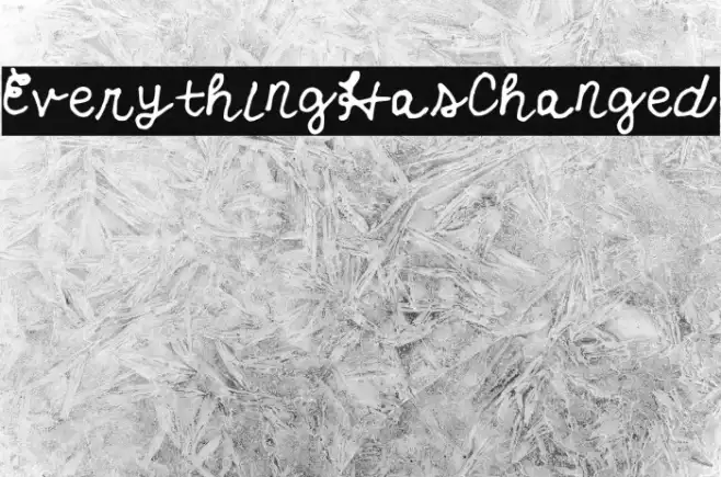 EverythingHasChanged Example 2