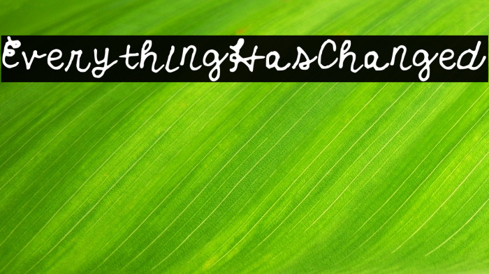 EverythingHasChanged Font examples
