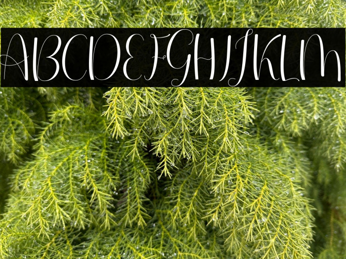 EverytimeScript Example 3