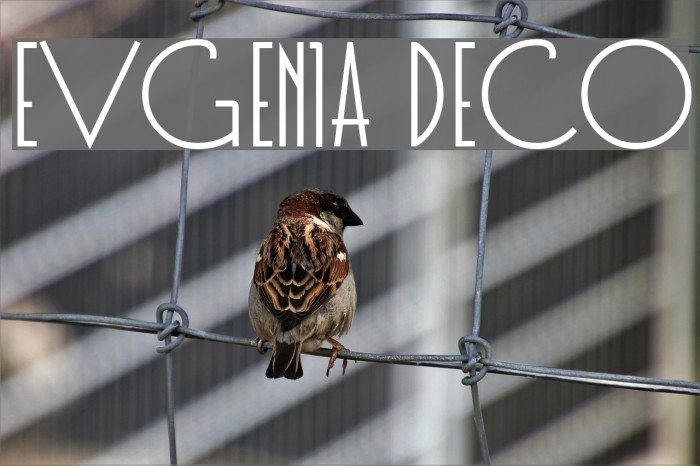 Evgenia Deco Font examples