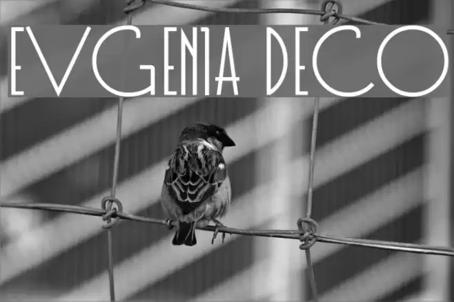 Evgenia Deco Font examples