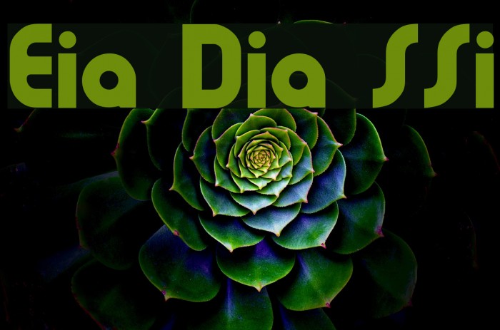 Evia Display SSi Font examples