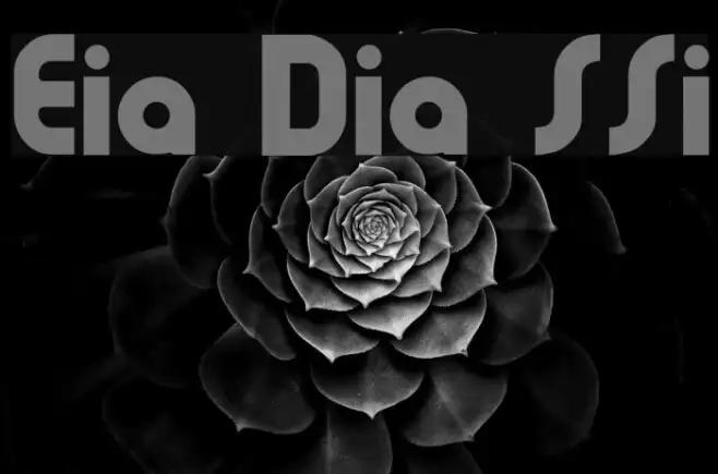Evia Display SSi Example 1