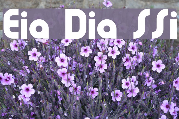 Evia Display SSi Font examples