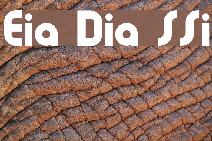 Evia Display SSi Font examples