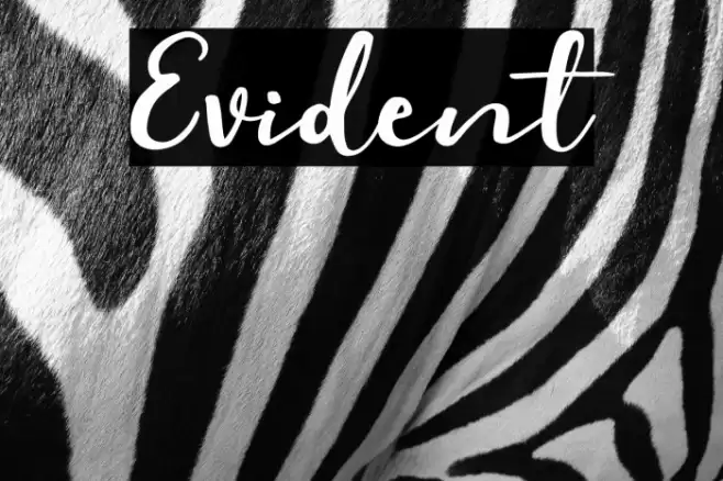Evident Font examples
