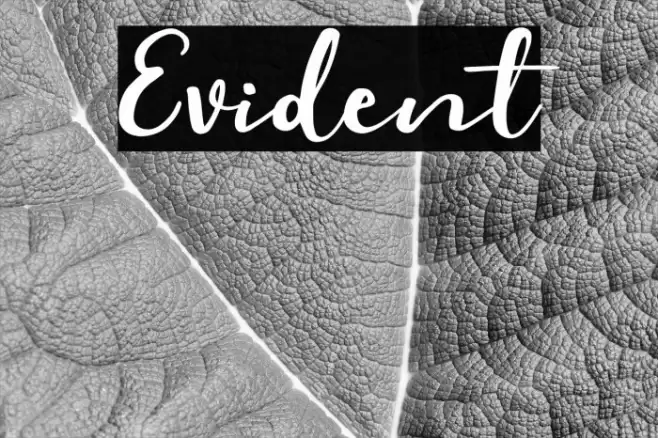 Evident Font examples