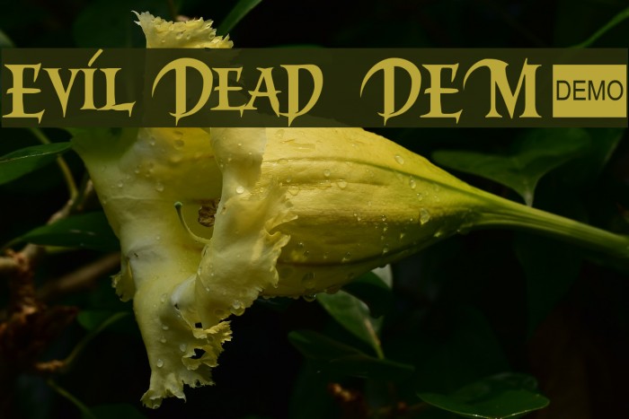 Evil Dead 3 DEMO Шрифта examples
