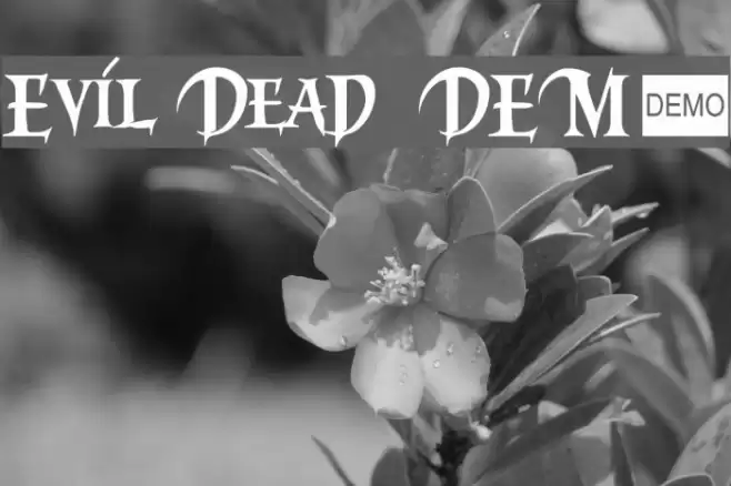 Evil Dead 3 DEMO Шрифта examples