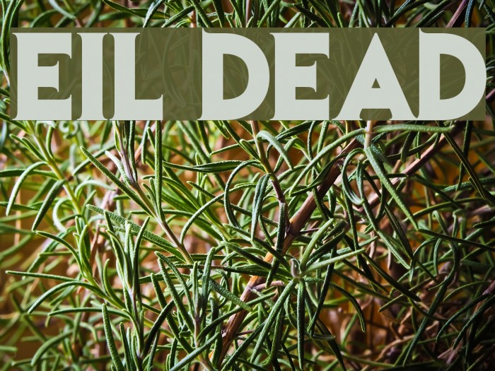 Evil Dead Font examples