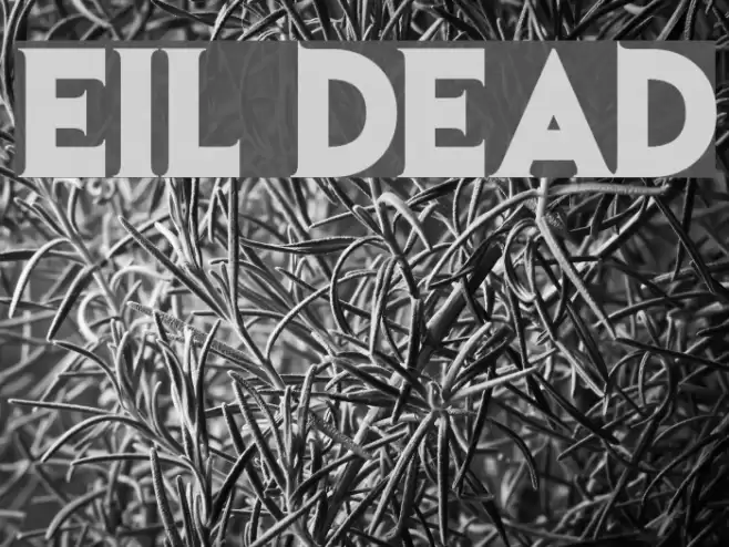 Evil Dead Polices examples