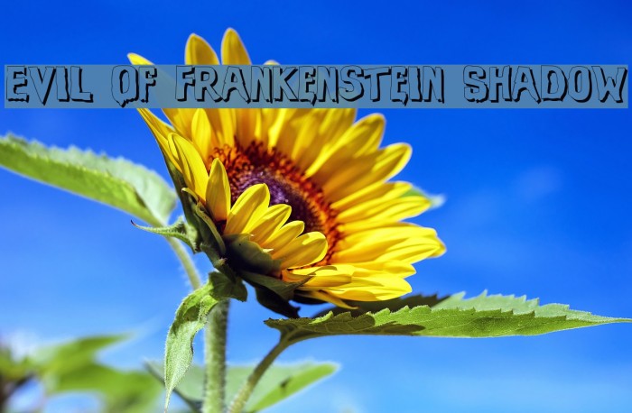 Evil Of Frankenstein Shadow Font examples