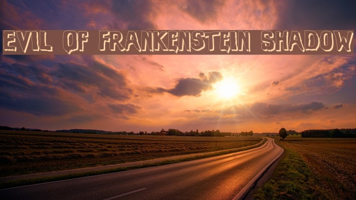 Evil Of Frankenstein Shadow Font examples