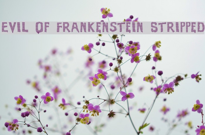 Evil Of Frankenstein Stripped Font examples