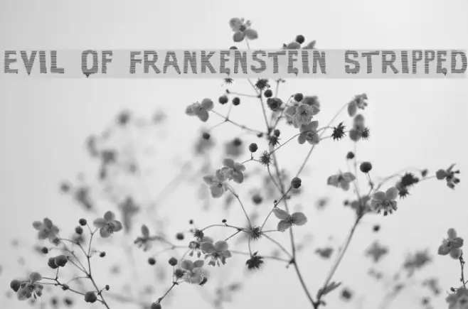 Evil Of Frankenstein Stripped Example 1