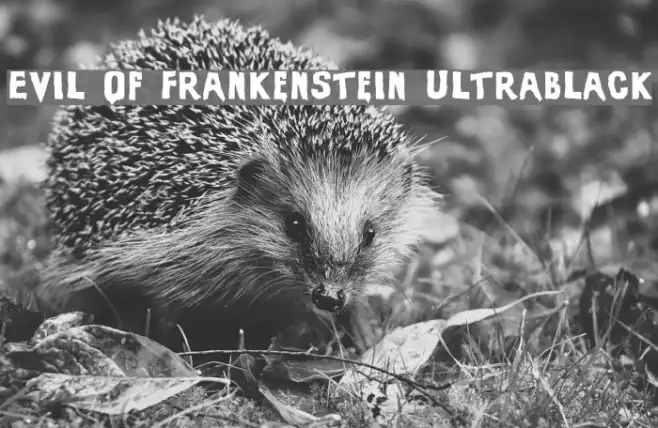 Evil Of Frankenstein UltraBlack Example 3