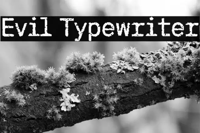Evil Typewriter Font examples