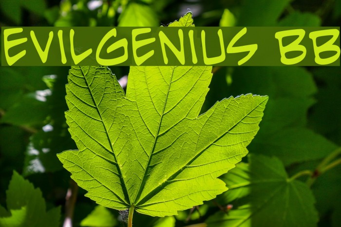 EvilGenius BB Font examples