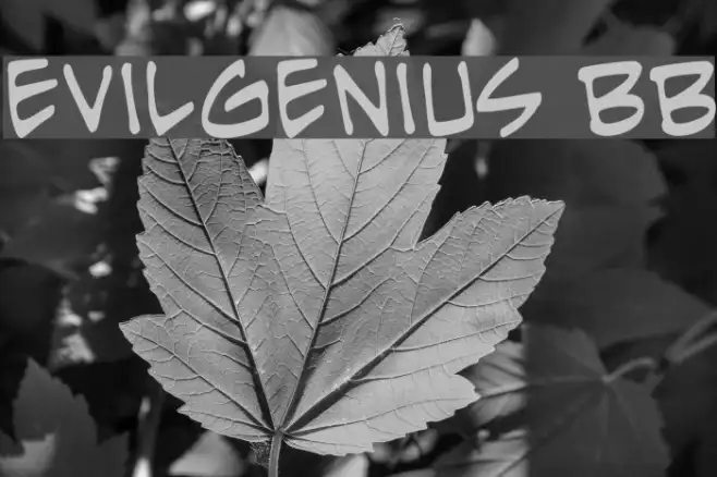 EvilGenius BB Example 1