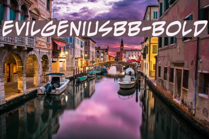 EvilGeniusBB-Bold Font examples