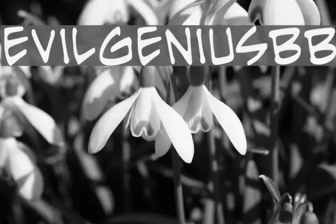 EvilGeniusBB Example 3
