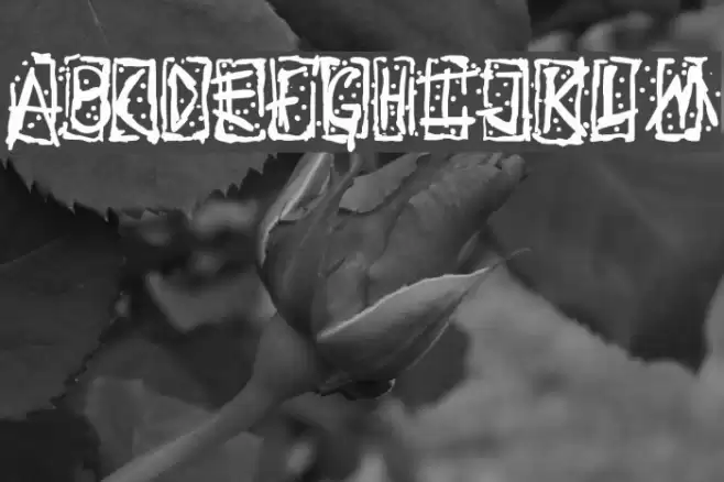 Evils Signature Font examples