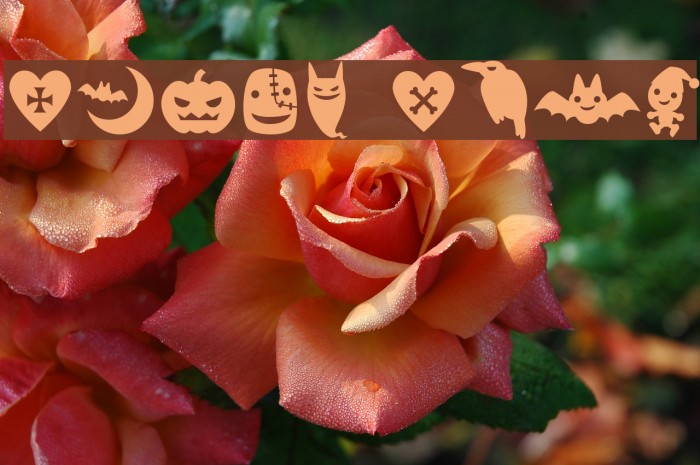 Evilz Font examples