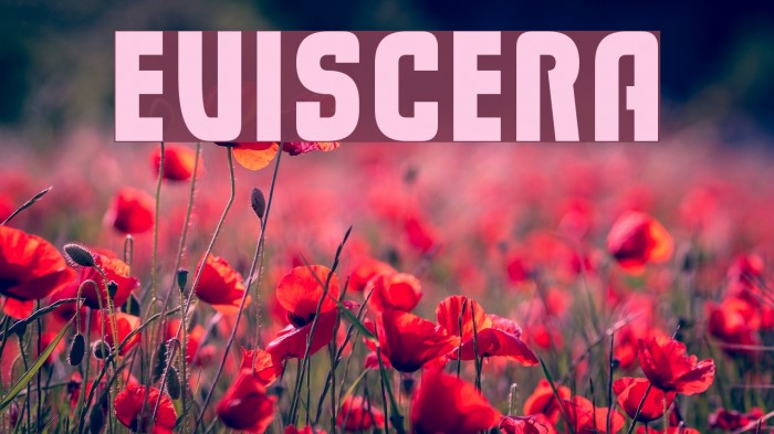 Eviscera Font examples