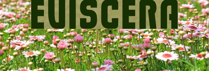 Eviscera Font examples