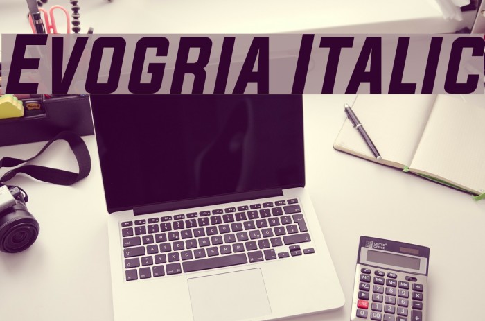 Evogria Italic Font examples