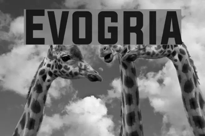 Evogria Font examples
