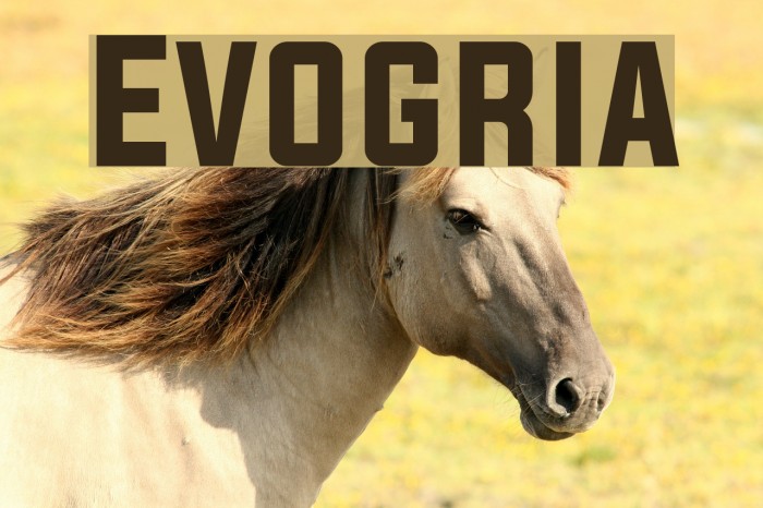 Evogria フォント examples