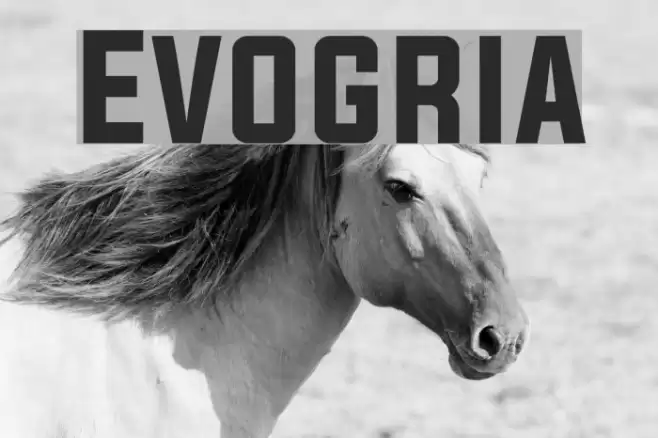 Evogria Font examples