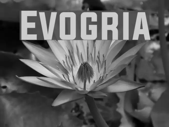 Evogria Font examples