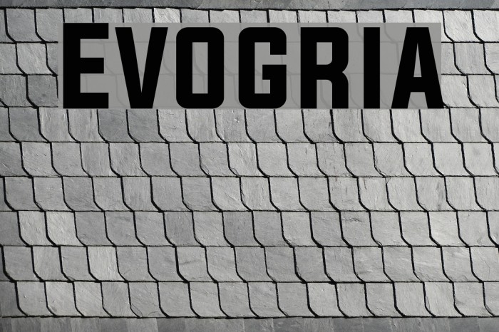 Evogria フォント examples