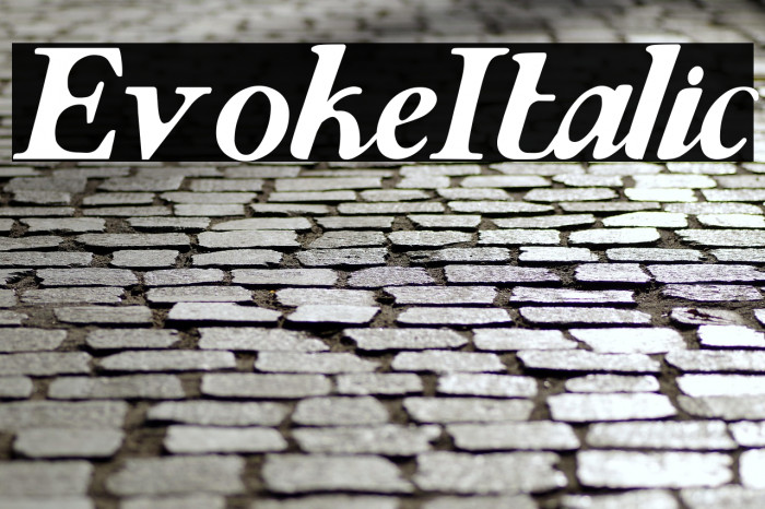 Evoke Italic Example 3