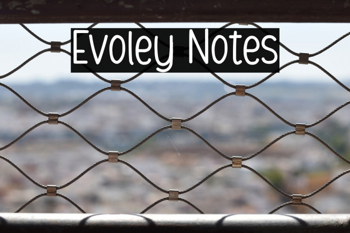 Evoley Notes Example 1